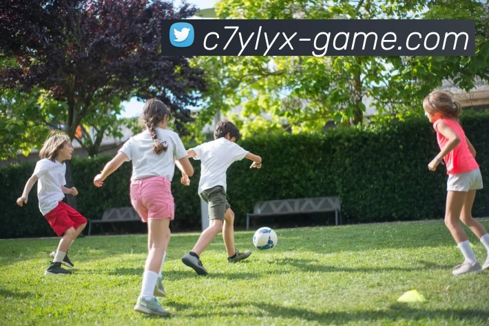 多媒体互动体验